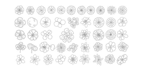"Top View Tree and Plant Icons Set &ndash; Black and White Botanical Elements and Foliage Silhouettes"