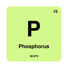 periodic vector phosphorus isolated on transparent background