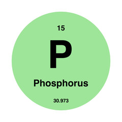 periodic vector phosphorus isolated on transparent background
