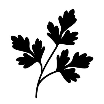 black parsley sprig silhouette on white clip art preview