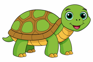 tortoise vector on white background