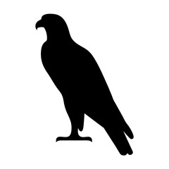 Majestic Hawk Silhouette Standing Tall A Symbol of Strength and Freedom