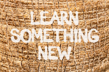 Learn something new symbol. Concept words Learn something new on beautiful palm bark. Beautiful palm bark background. Business motivational lifestyle learn something new concept. Copy space.