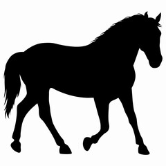 High-Resolution Silhouette of Walking Horse