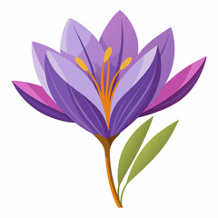 Vibrant Purple Crocus Flower with Green Leaves Illustration