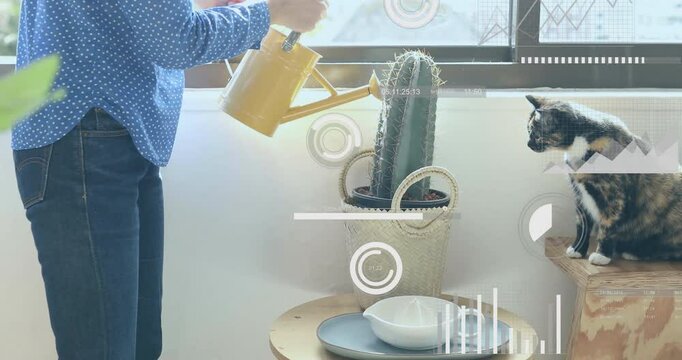 Woman watering cactus in interior design tutorial, cat watching, plant icons floating background