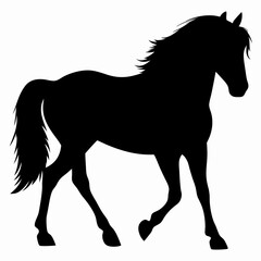 Silhouette of Walking Horse  Black and White