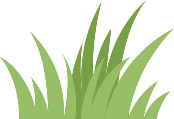 green grass isolated on white