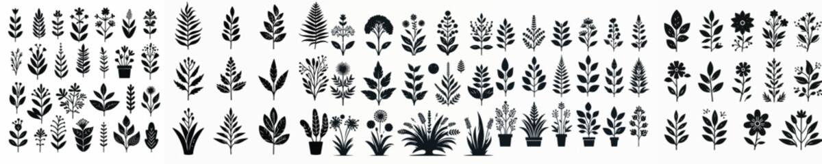 Vector set image silhouette of plant 