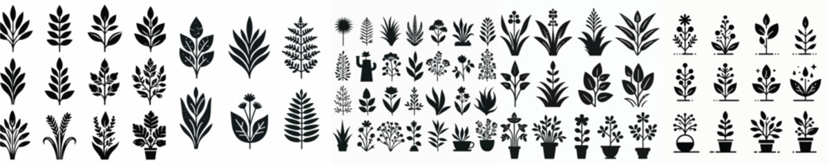 Vector set image silhouette of plant 