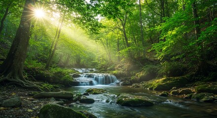 Obraz premium Serene Forest Stream Sunlit Waterfall in Lush Green Woods