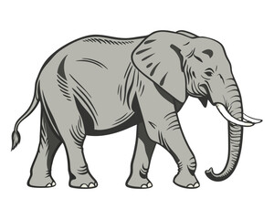 Fototapeta premium Elephant Vector Silhouettes and Detailed Walking Elephant Illustration – Wildlife Animal Icons for Safari, Zoo, Nature, and Conservation Design.
