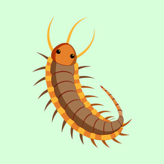 Cartoon Centipede Illustration with Orange and Brown Tones on Light Green Background