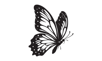 Butterfly Illustration, Silhouettes of butterflies, Insect butterfly black silhouettes with white background