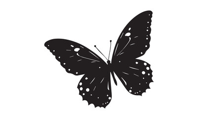 Butterfly Illustration, Silhouettes of butterflies, Insect butterfly black silhouettes with white background