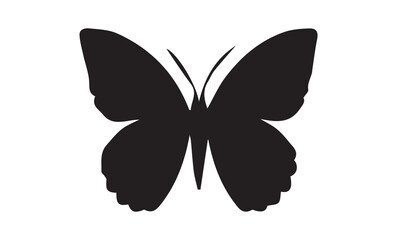 Butterfly Illustration, Silhouettes of butterflies, Insect butterfly black silhouettes with white background