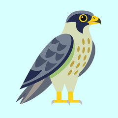 vector illustration of a falcon