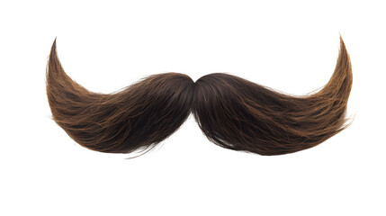 mustache transparent background png