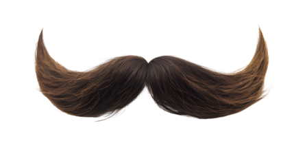 mustache transparent background png