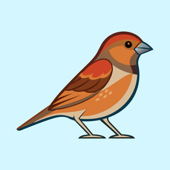 vector illustration of cartoon a sparrow