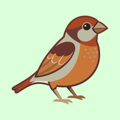 Stylized House Sparrow Bird Illustration with Simplistic Design on Light Green Background