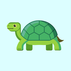 vector illustration of a tortoise