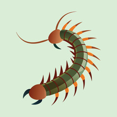 Cartoon centipede with many legs on a light green background image