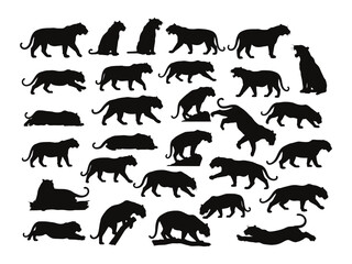 Panther Silhouette  Bundle | Big Cat Clipart Leopard Tiger  Vector | Wild Animal Jungle Feline Graphic Set .


