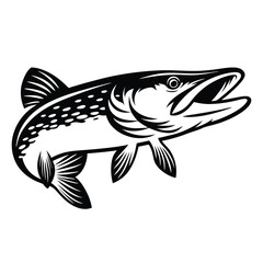 Monochrome Northern Pike Illustration. Elegant Outlined Fish Art Isolated on White