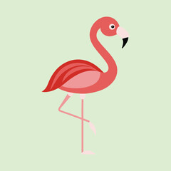 Pink Flamingo on a light green background standing on one leg