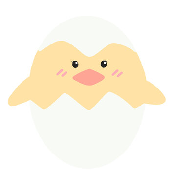 Cute yellow chick with cracked easter egg.