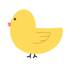 Cute easter yellow chick cartoon