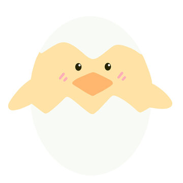 Cute yellow chick with cracked easter egg.