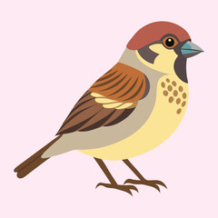 Illustration of a Eurasian Tree Sparrow with a pink background aesthetic