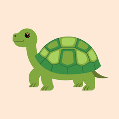 funny turtle cartoon