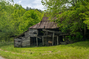 Obraz premium old barn