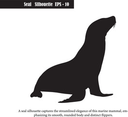 Seal Silhouette – Elegant Marine Mammal Wildlife Art