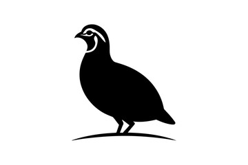 Quail bird silhouette vector image illustration