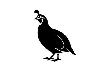 Quail bird vector illustration black silhouette