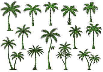 Palm Paradise: A Verdant Collection AI Generated