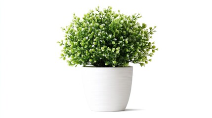 Small, potted, artificial plant (1)
