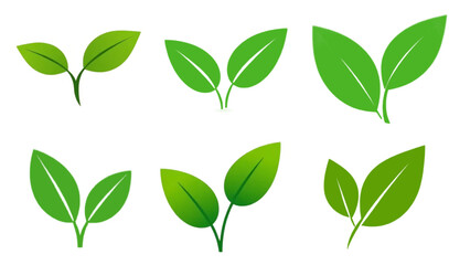 Set of green leaf icons. Leaves of trees and plants. Leaves icon. Collection green leaf. Elements design for natural, eco, bio, vegan labels. Vector illustration
