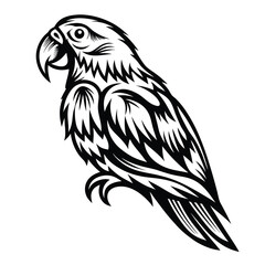 Monochrome Parrot Stylized Plumage, Eye Detail, Perched Stance, Black & White
