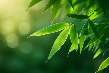 Fototapeta premium Close up of vibrant green bamboo leaves gently swaying in the breeze, illuminated by soft sunlight, creating a tranquil and natural scene