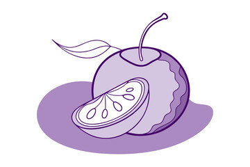 damson fruit vector with slice illustration