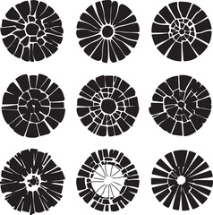 Black and White Cracked Circle Designs, Abstract Radial Patterns
