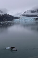 Glacier and ice on cloudy day in Glacier Bay