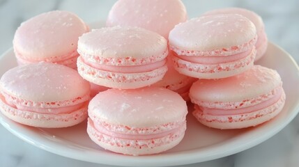 Pink macarons on white plate delicate pastry dessert sweet food closeup