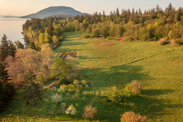 Aerial view of the east side of Lummi Island during a beautiful sunrise over the Curry Preserve.  Located in the Salish Sea with Lummi Mountain in the background and Hale Pass to the east.