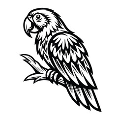 Monochrome Parrot Outline Sitting on Branch, Stylized Bird Silhouette, Wildlife